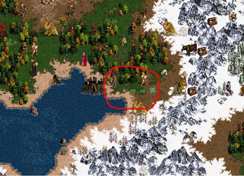 4.JPG